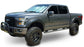2015-2017 FORD F-150 POCKET STYLE